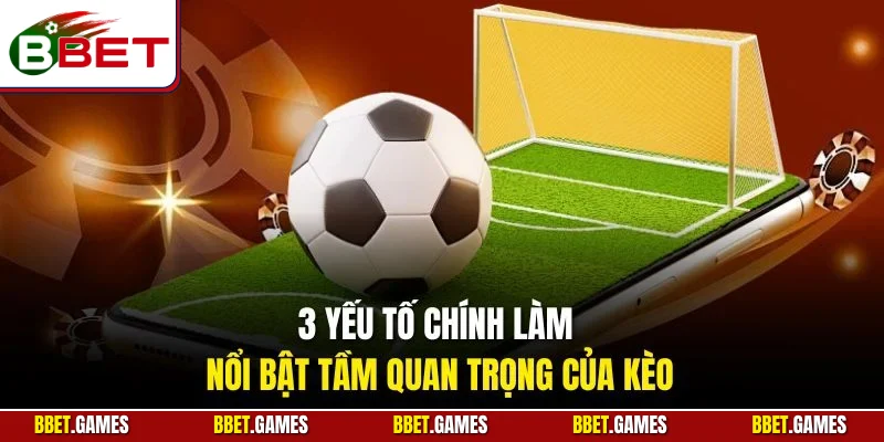 3 yếu tố chính làm nổi bật tầm quan trọng của kèo