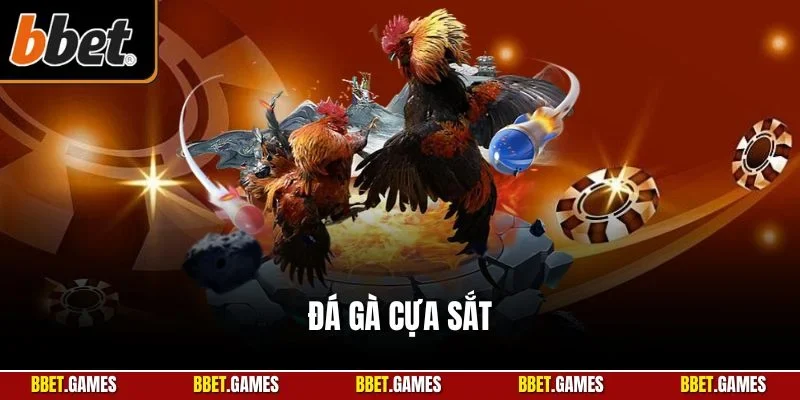 đá gà cựa sắt