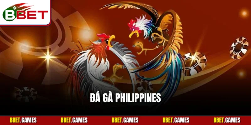 Đá gà philippines