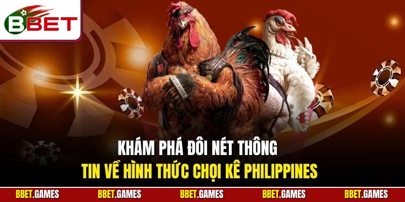 Khám phá đôi nét thông tin về hình thức chọi kê Philippines