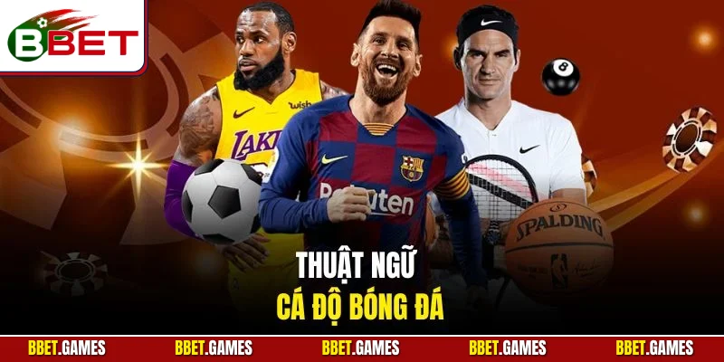 Hiểu rõ về thuật ngữ cá độ bóng đá