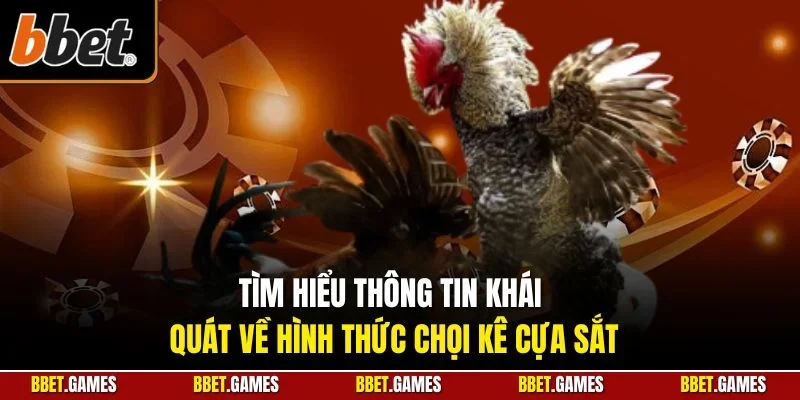 Tìm hiểu thông tin khái quát về hình thức chọi kê cựa sắt