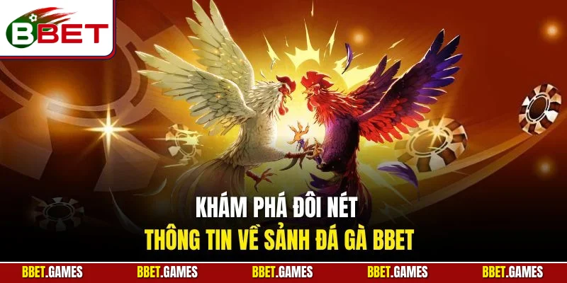 Khám phá đôi nét thông tin về sảnh đá gà BBET
