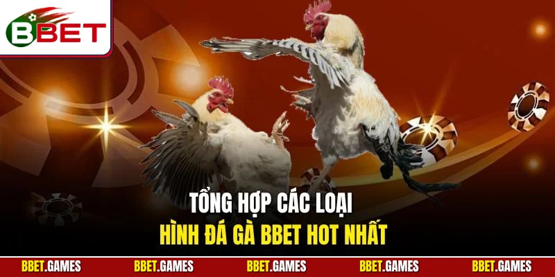 Tổng hợp các loại hình đá gà BBET hot nhất